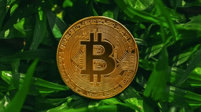 BITCOIN et l&rsquo;Ecologie (Partie 1) : &laquo;&nbsp;Bitcoin est le meilleur crédit carbonne&nbsp;&raquo; selon Alexandre Stachtchenko